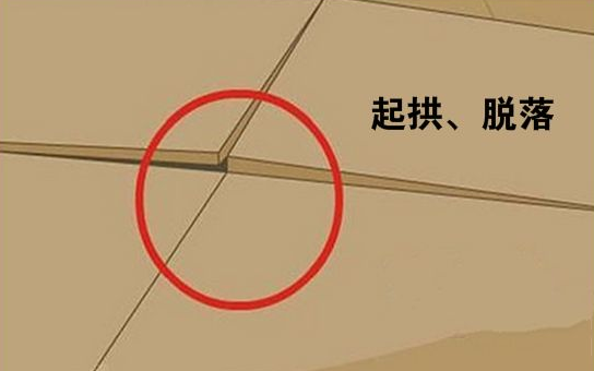 什么是瓷砖胶和背涂胶?为什么要用背涂胶呢?