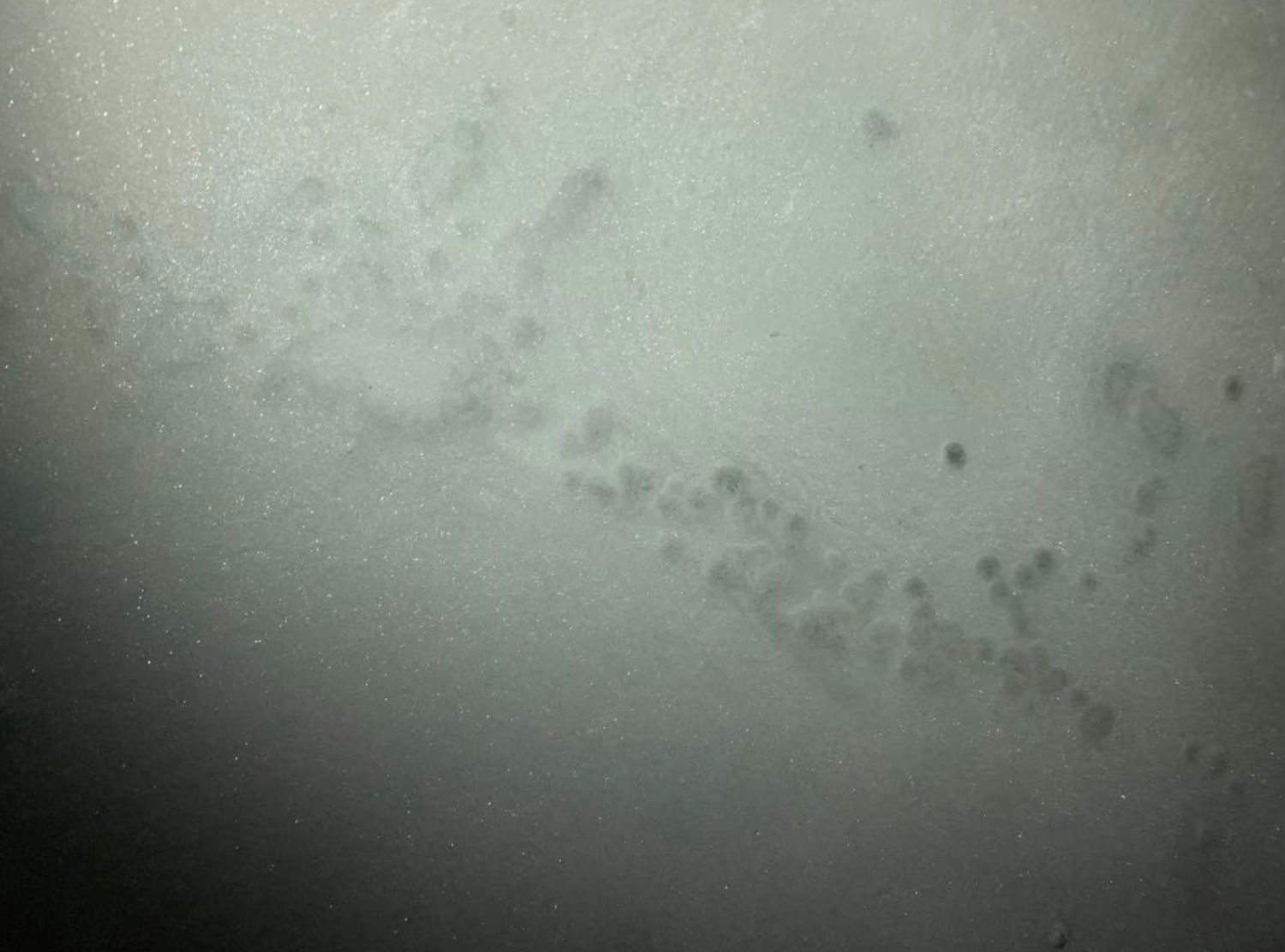 腻子粉砂浆生产工厂进销存处理