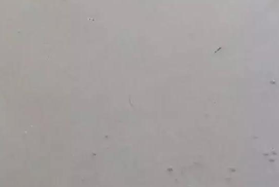 自流平,装修少不了的一种环氧地坪涂料。