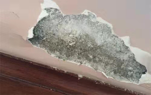 腻子粉起泡如何处理?